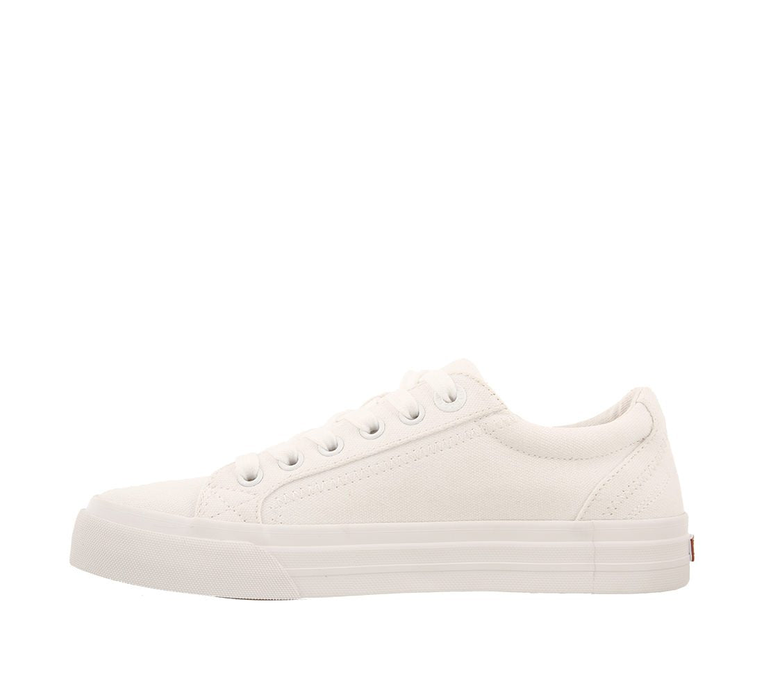 Taos - Plim Soul Sneaker - In White canvas